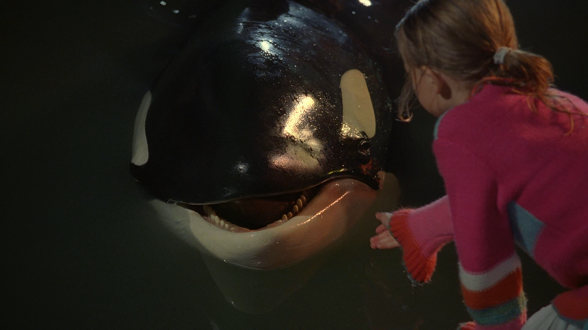 Free Willy: Escape from Pirate #39 s Cove Blu ray Screen Shot #4 Blu Free Willy: Escape from Pirate #39 s Cove Blu ray Screen Shot #4 Blu