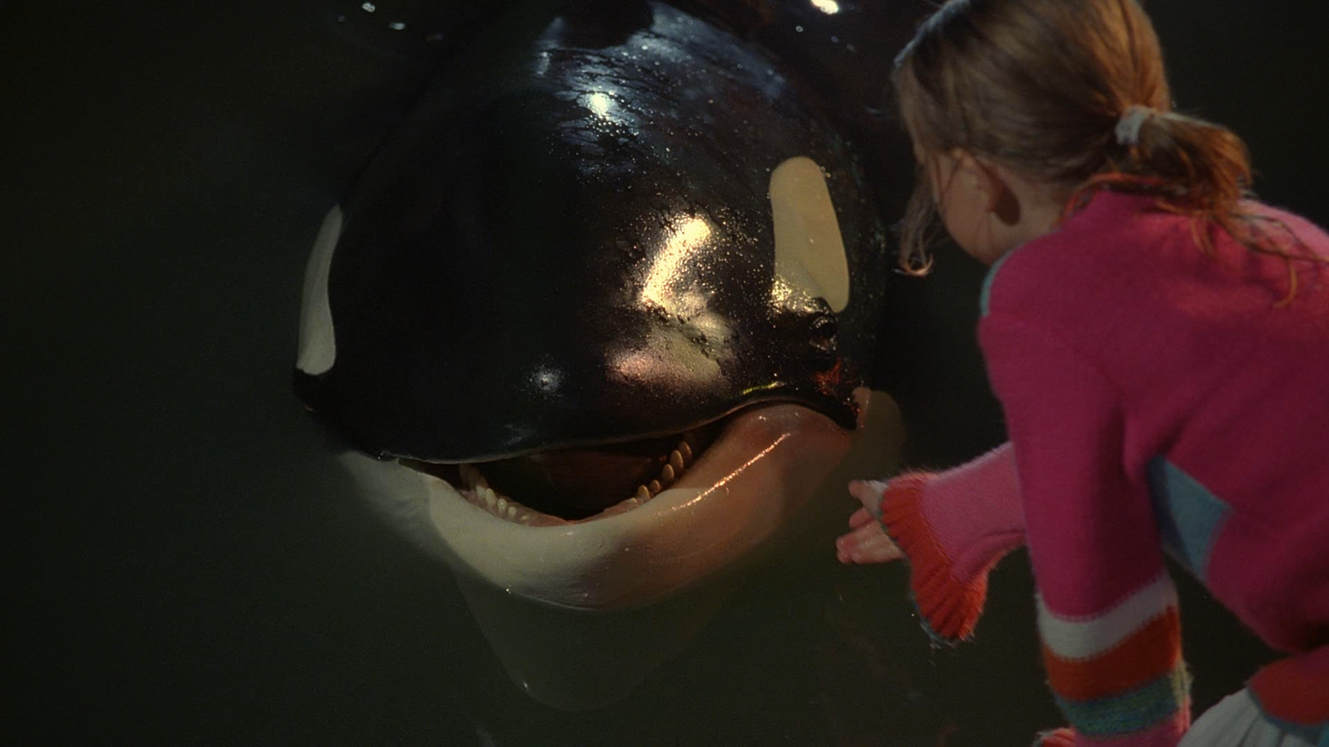 Free Willy: Escape from Pirate's Cove Blu-ray Screen Shot #4 - Blu